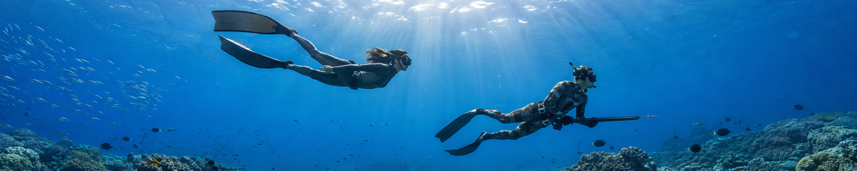Spearfishing and Freediving