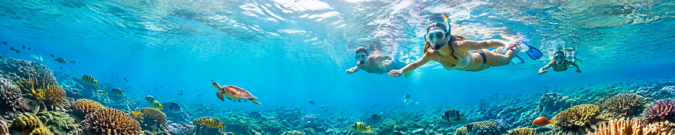 Snorkeling