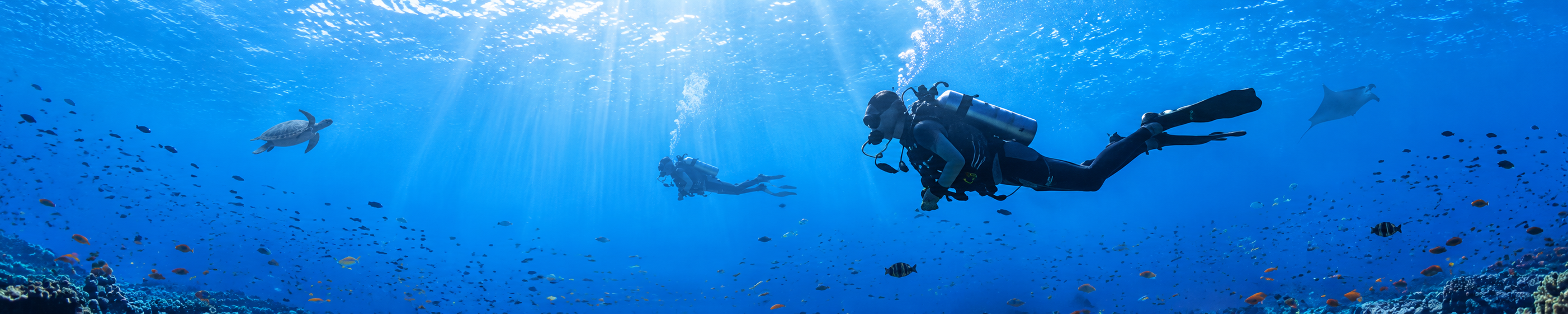 Scuba Diving