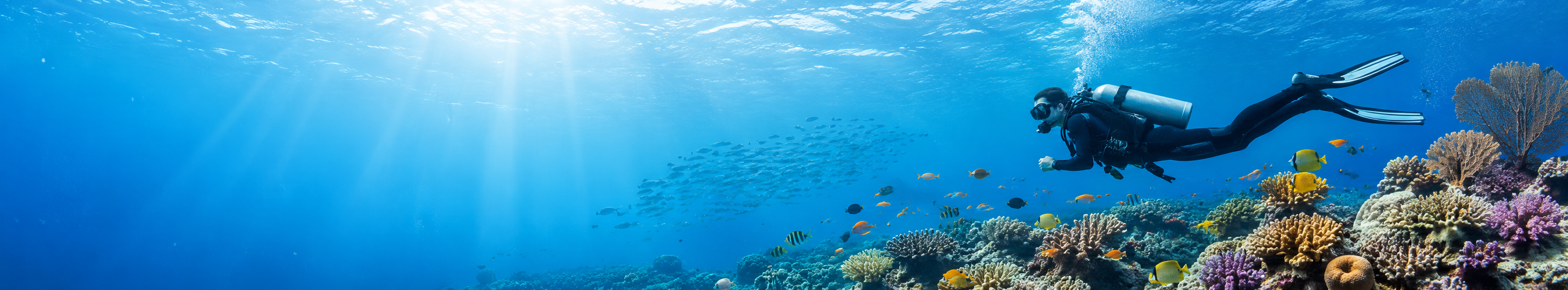 Scuba Diving