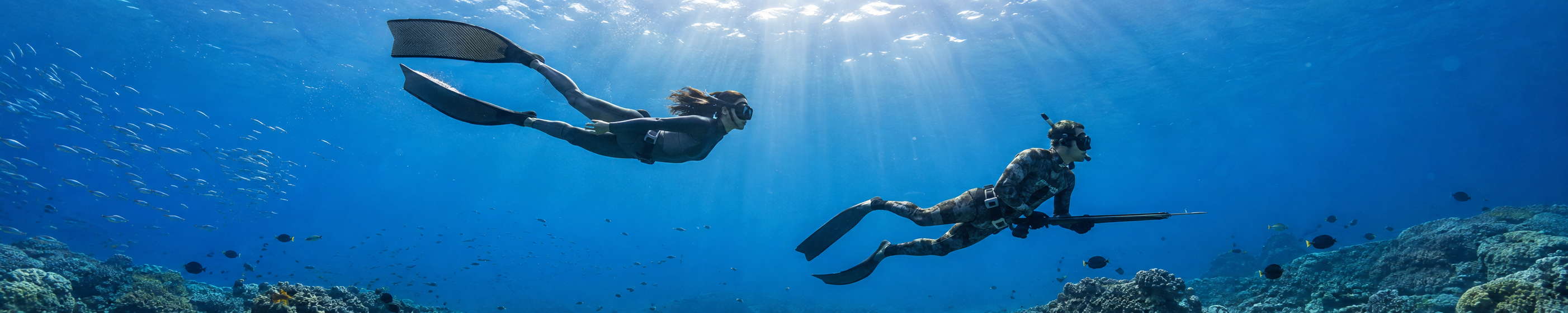 Spearfishing and Freediving